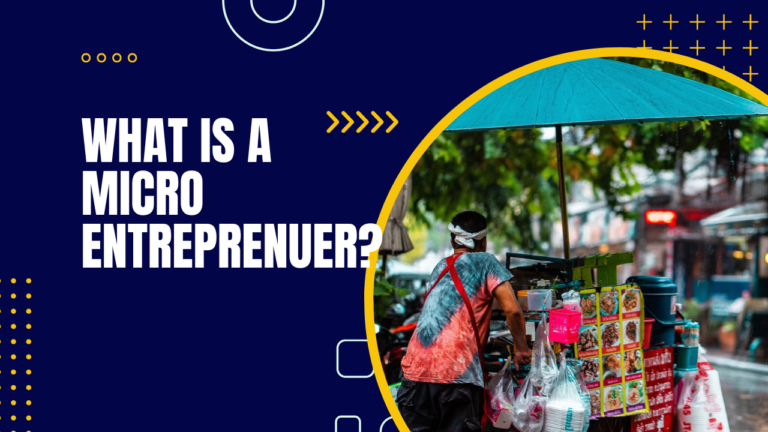 What is a micro entrepreneur?